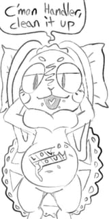 smug bnuy