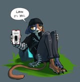 soy meow