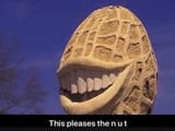nut is pleased