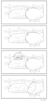 pig bite