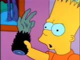 paw