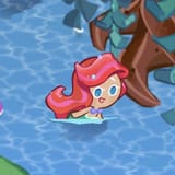 ariel cooki