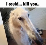 1751222509829665