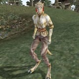 mw-npc-travelling-new-woman