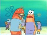 barnacles