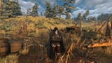 witcher3 2025-03-30 20-07-10_800