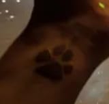 1607112923724