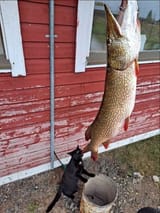 IMG_0936