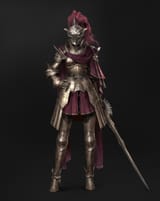 han-woo-imperial-knight