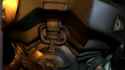 maggot intro_thumb.jpg