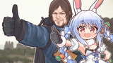 peko stranding