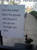 optional boss fights