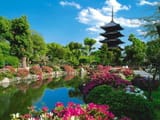 HD-wallpaper-spring-in-china-with-flowers-and-temple-scenic-beautiful-view-gorgeous[1]