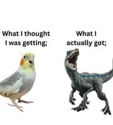 5517624