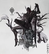 dark knight lady