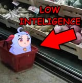 1667673037056559