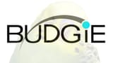 budgie_faded
