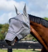 flymask