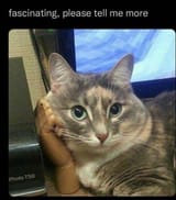 1754054691828865