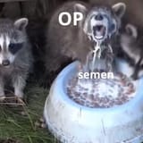 1722829293067197