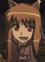 Spice and wolf horo fool