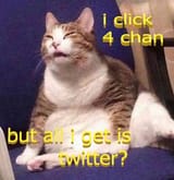 click 4chan get twitter