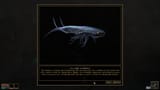 Morrowind_2024-07-28_17.15.49.489