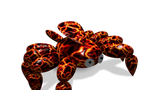 1000199846