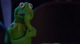 kermit_concerned