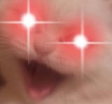 1736253021117885