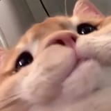 1647224870301