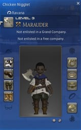 ffxiv_28072025_214328_744
