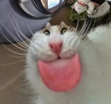 9876980