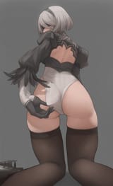 2b wedgie