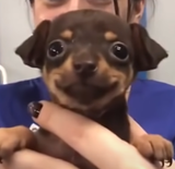 1608513576640