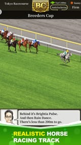 derby stallions