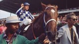 secretariat-triple-crown-050115-getty-ftrjpg_11t47gb9fbsez1u3gk9npddpnt