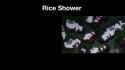 lice shower[sound=files.catbox.moe%2Fvtvqv8.mp4]_thumb.jpg