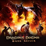 SQ_NSwitchDS_DragonsDogmaDarkArisen_image500w