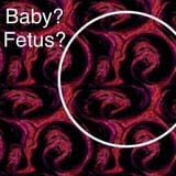 1725544119292576