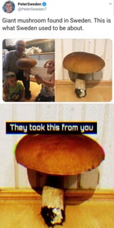 1579216550886