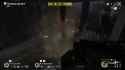 EveryonesfirstRats_thumb.jpg