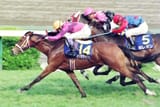 narita taishin
