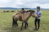 theres more horses then mongolians