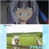 tama