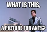 Ants