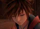 Sora don&#039;t