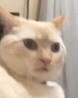 1657697871252