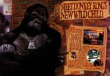 Donkey-Kong-Country-3-Dixie-Kongs-Double-Trouble-scaled