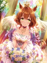 tex_support_card_30149[1]